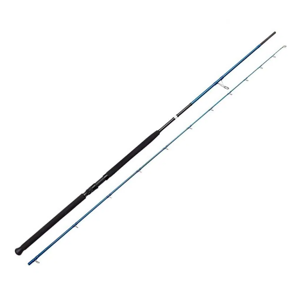 BAUER PIA 3,05MT 30-100 GR SHORE JIGGING OLTA KAMIŞI