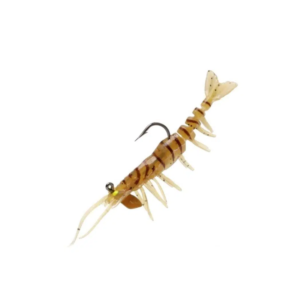 PANDORA CARIDINA E007
