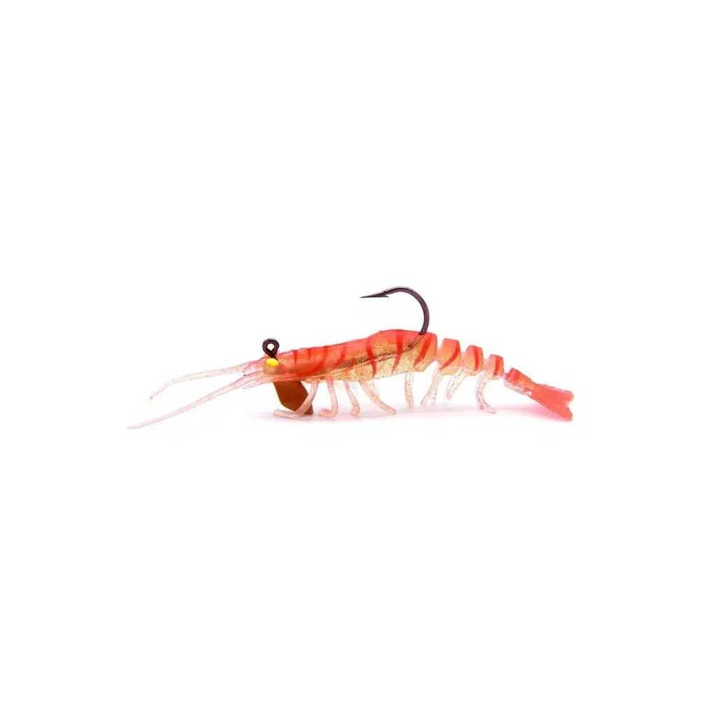 PANDORA CARIDINA E010