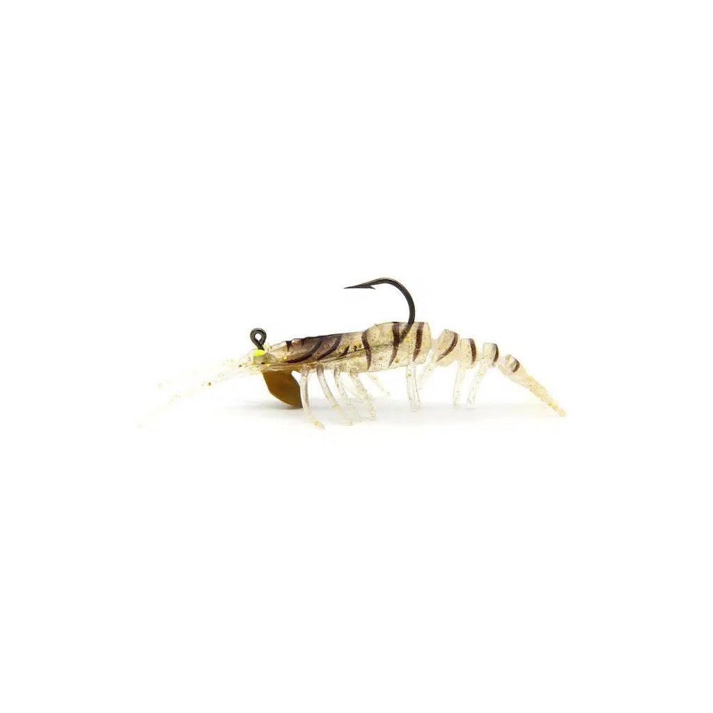 PANDORA CARIDINA E027