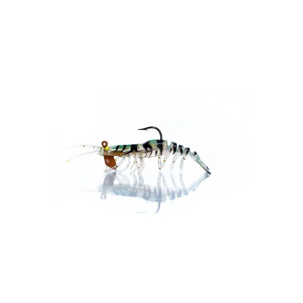 PANDORA CARIDINA E028