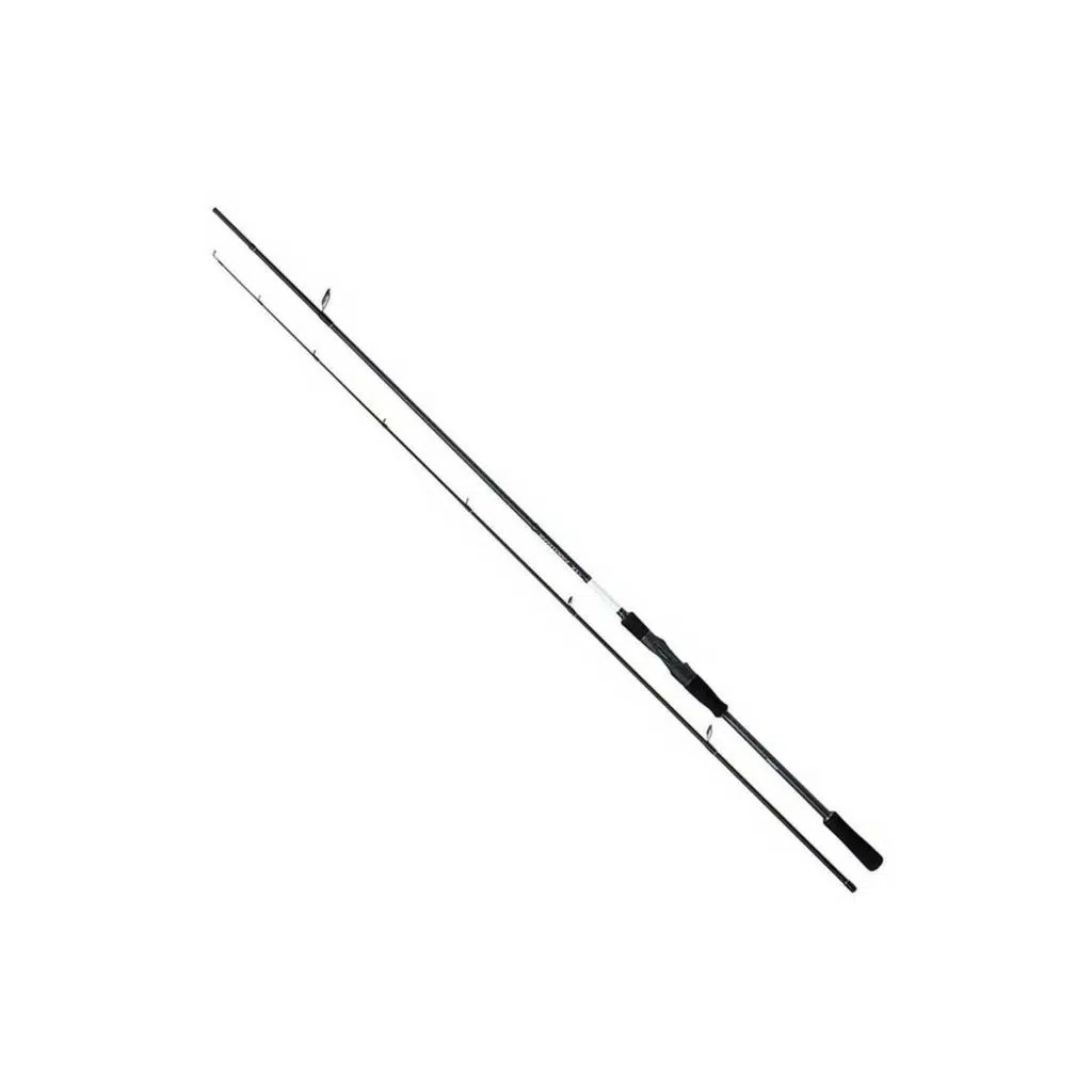 Shimano Kamış Bassterra XTP Sea Bass Spinning 2,89M 9'3" 15-65G 2Pc