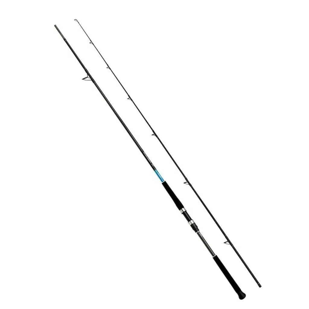 Shimano Rod Bassterra XT Shore Jigging 10'0" 30-100G