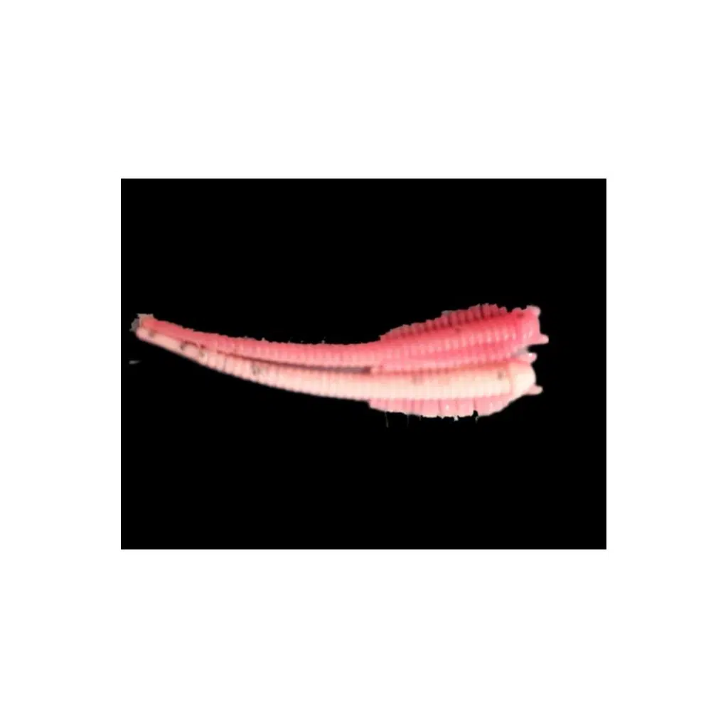 SPIINX SANDWORM SİLİKON 6CM 18P (SPK)
