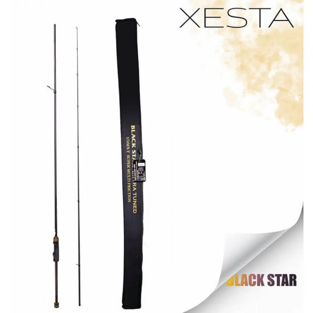 XESTA BLACKSTAR EXTRA TUNED S84MH-T KAMIŞ 2.55M 1.5-18G 2P
